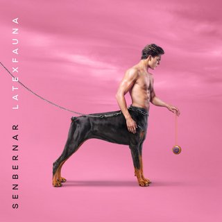 Промо альбом Senbernar