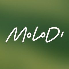 Промо Дім - MOLODI (офіційний відеокліп та текст пісні)