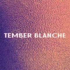 Промо Пінгвін - Tember Blanche (офіційне музичне відео та текст пісні)